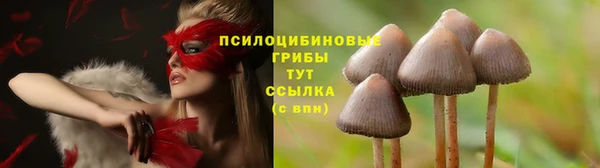 прущая мука Алексин
