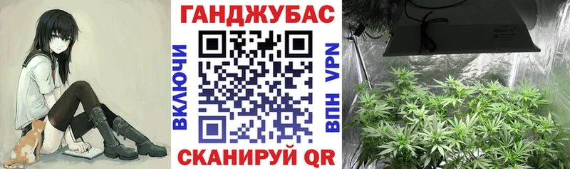 Конопля Bruce Banner  MEGA маркетплейс  Каневская 